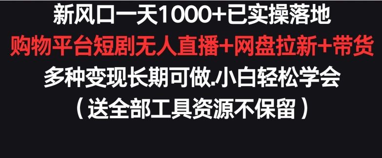 新风口一天1000+已实操落地购物平台短剧无人直播+网盘拉新+带货多种变现长期可做【揭秘】-云网创资源站