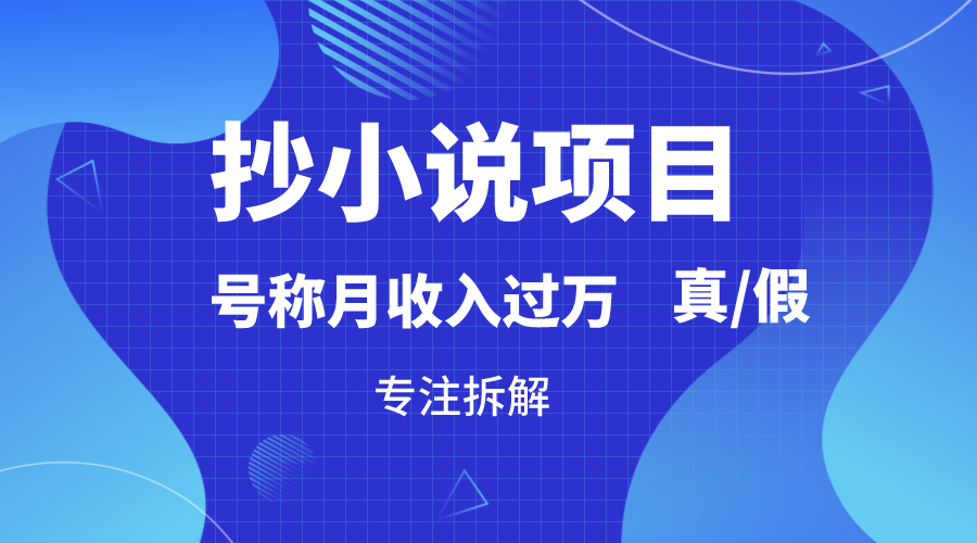 抄小说项目，号称月入过万，到底是否真实，能不能做，详细拆解-云网创资源站