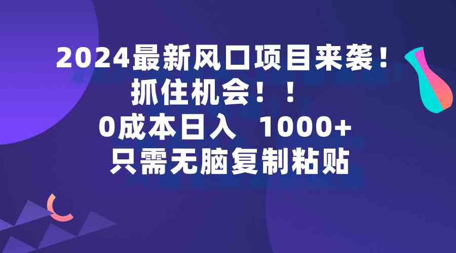 2024最新风口项目来袭，抓住机会，0成本一部手机日入1000+，只需无脑复…-云网创资源站