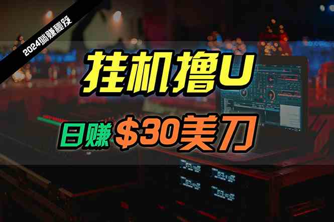 日赚30美刀，2024最新海外挂机撸U内部项目，全程无人值守，可批量放大-云网创资源站