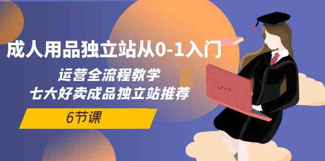 成人用品独立站从0-1入门，运营全流程教学，七大好卖成品独立站推荐-6节课-云网创资源站