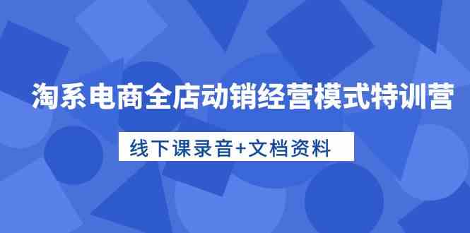 淘系电商全店动销经营模式特训营，线下课录音+文档资料-云网创资源站