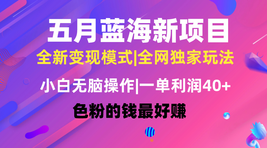 五月蓝海项目全新玩法，新手没脑子实际操作，一天数分钟，引流矩阵实际操作，月入4万-云网创资源站