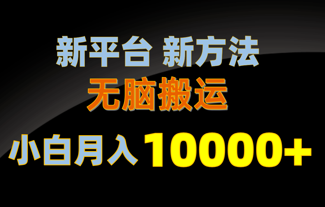 新平台新方法，无脑搬运，月赚10000+，小白轻松上手不动脑-云网创资源站