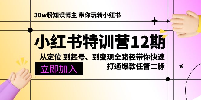 小红书的夏令营12期：从精准定位 到养号、到转现全路径陪你迅速连通爆品任督二脉-云网创资源站