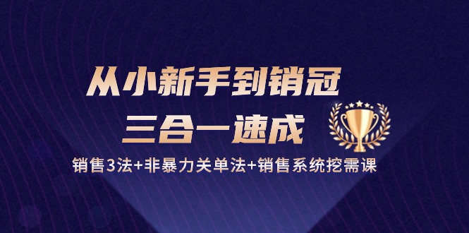 从小新手到销冠 三合一速成：销售3法+非暴力关单法+销售系统挖需课 (27节)-云网创资源站