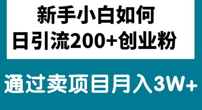 新手入门日引流方法200 自主创业粉,根据卖项目月入3W-云网创资源站