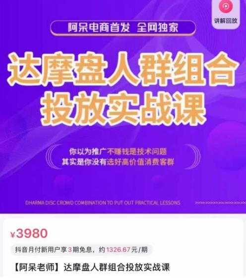 阿呆电商·达摩盘人群组合投放实战课，你以为推广不赚钱是技术问题，其实是你没有选好高价值消费客群-云网创资源站