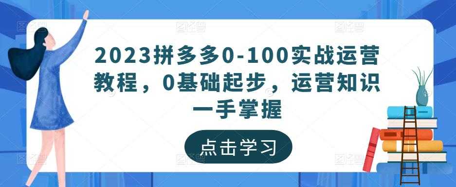 2023拼多多0-100实战运营教程，0基础起步，运营知识一手掌握-云网创资源站