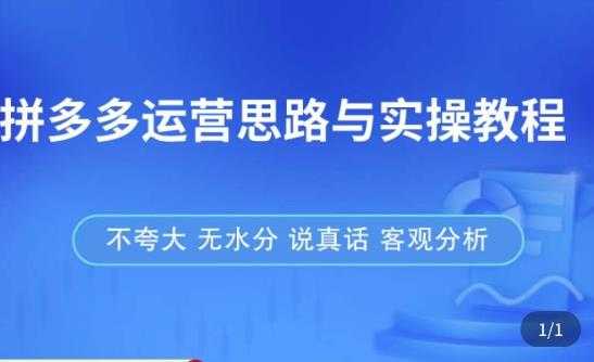 拼多多店铺运营思路与实操教程，快速学会拼多多开店和运营，少踩坑，多盈利-云网创资源站