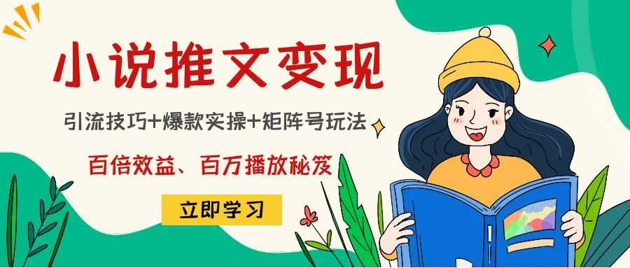 小说推文训练营：引流技巧+爆款实操+矩阵号玩法，百倍效益、百万播放秘笈-云网创资源站