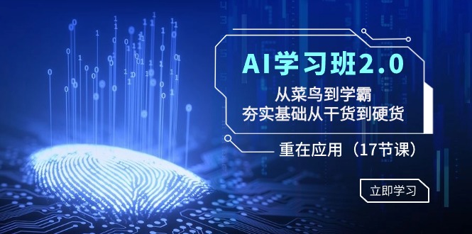 AI学习班2.0：从菜鸟到学霸，夯实基础从干货到硬货，重在应用（17节课）-云网创资源站