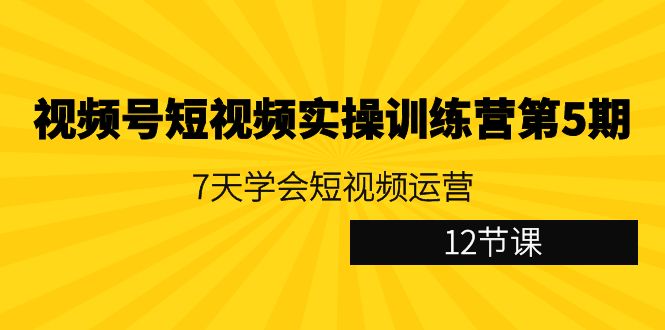 视频号短视频实操训练营第5期：7天学会短视频运营（12节课）-云网创资源站