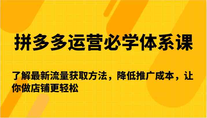 拼多多运营必学体系课-了解最新流量获取方法，降低推广成本，让你做店铺更轻松-云网创资源站