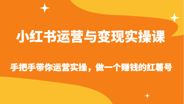 小红书运营与变现实操课-手把手带你运营实操，做一个赚钱的红薯号-云网创资源站