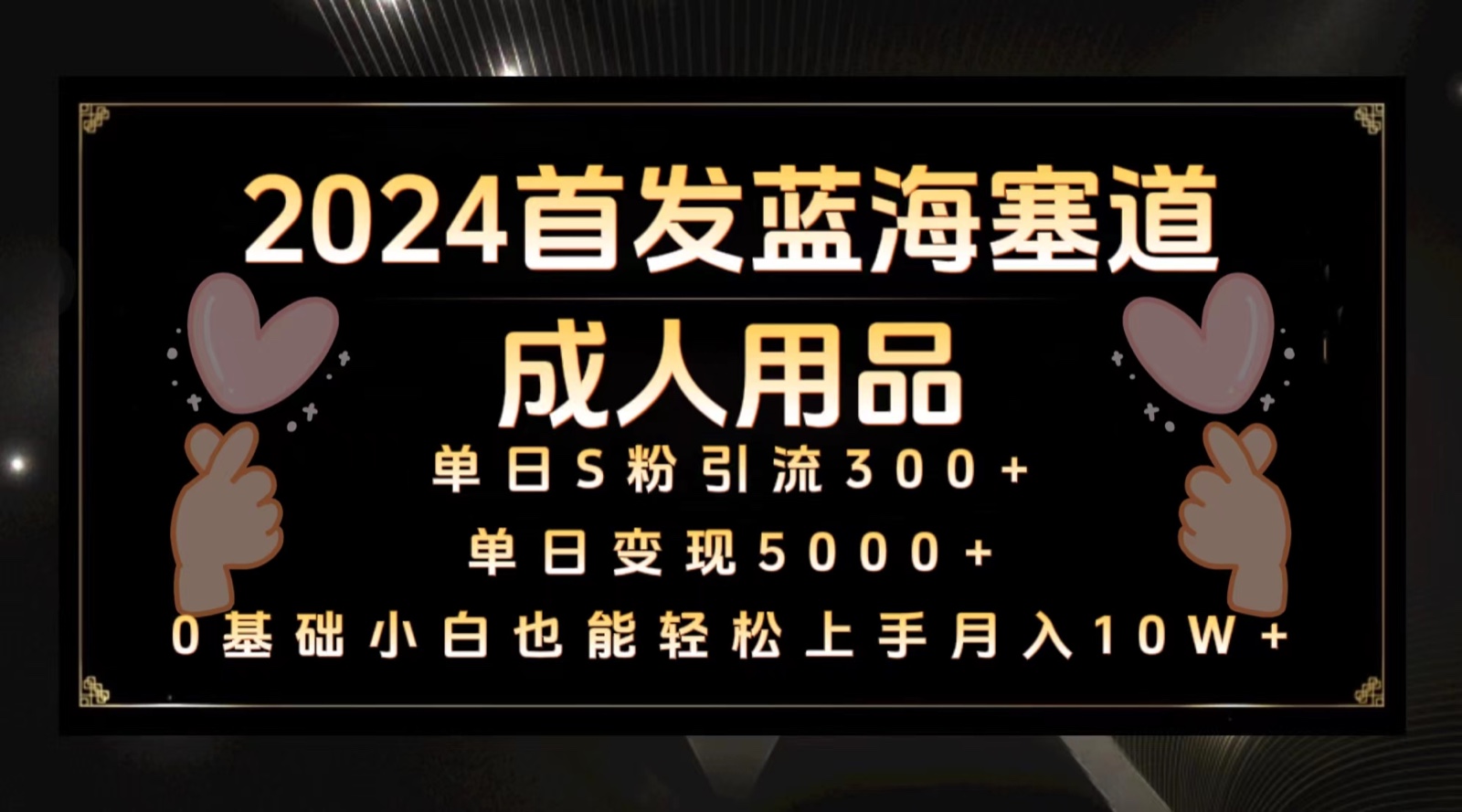 2024首发蓝海塞道成人用品，月入10W+保姆教程-云网创资源站