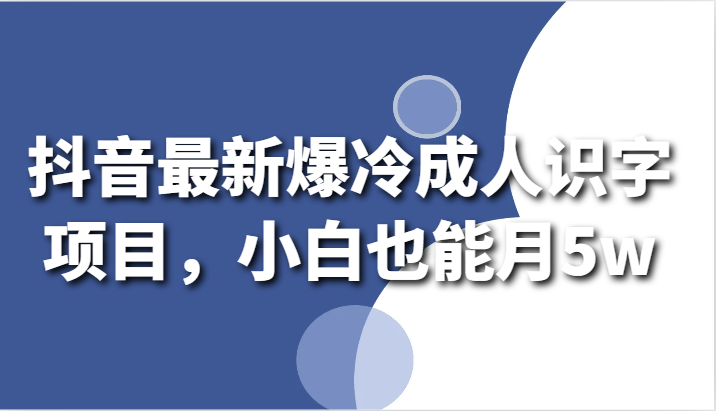 抖音最新爆冷成人识字项目，小白也能月5w-云网创资源站