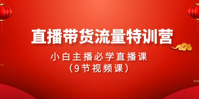 2024直播带货流量特训营，小白主播必学直播课（9节视频课）-云网创资源站