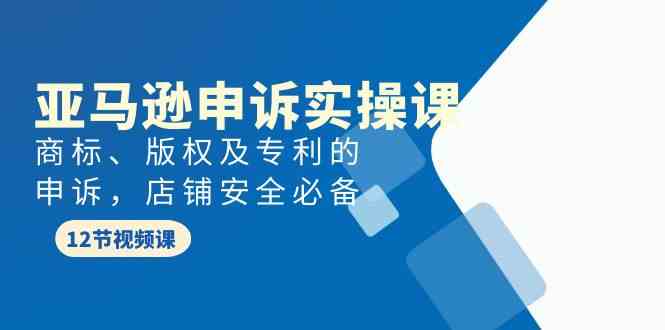 亚马逊申诉实战课，商标、版权及专利的申诉，店铺安全必备-云网创资源站