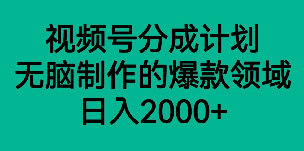 视频号分成计划，轻松无脑制作的爆款领域，日入2000+-云网创资源站