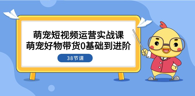 萌宠·短视频运营实战课：萌宠好物带货0基础到进阶（38节课）-云网创资源站