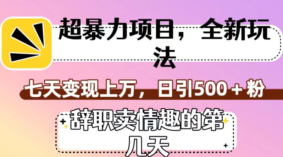 超暴利项目，全新玩法（辞职卖情趣的第几天），七天变现上万，日引500+粉-云网创资源站