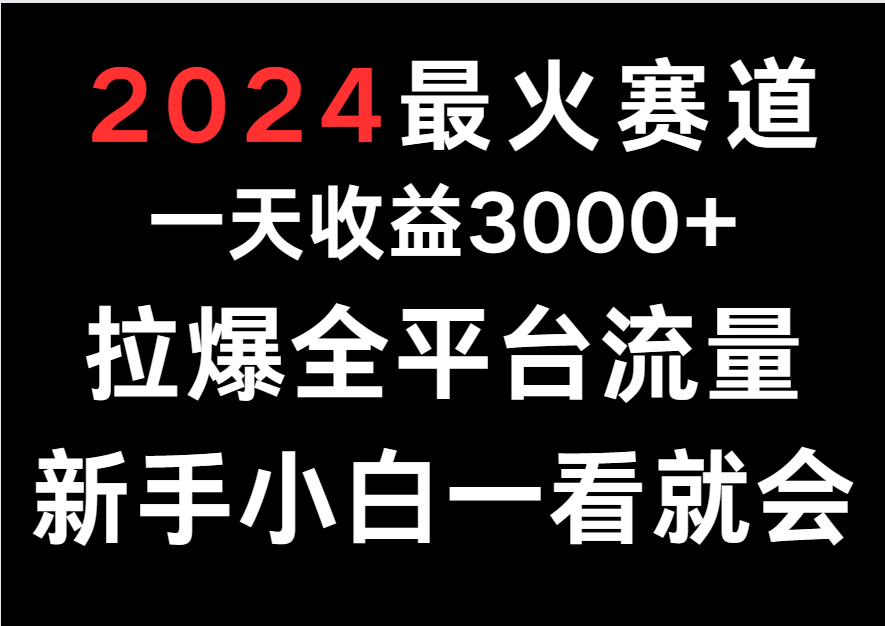 2024最火赛道，一天收一3000+.拉爆全平台流量，新手小白一看就会-云网创资源站