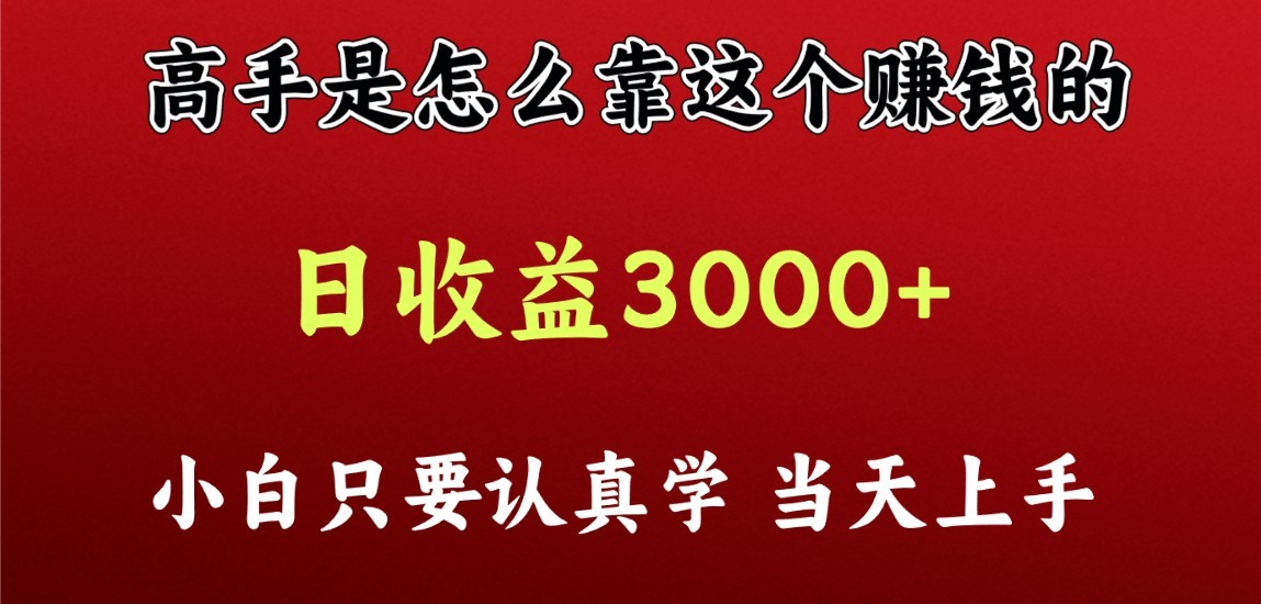 看高手是怎么赚钱的，一天收益至少3000+以上，小白当天上手-云网创资源站