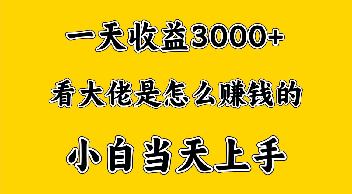 一天赚3000多，大佬是这样赚到钱的，小白当天上手，穷人翻身项目-云网创资源站