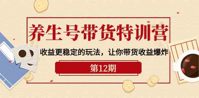 健康养生号卖货夏令营【12期】盈利更稳定的游戏玩法，使你卖货盈利发生爆炸（9节视频课堂）-云网创资源站