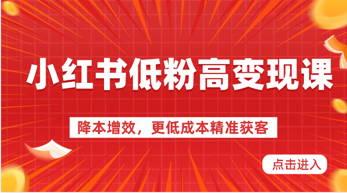 小红书的低筋粉高转现课-降低成本，更低成本营销获客，小红书的必出平台流量登陆密码-云网创资源站