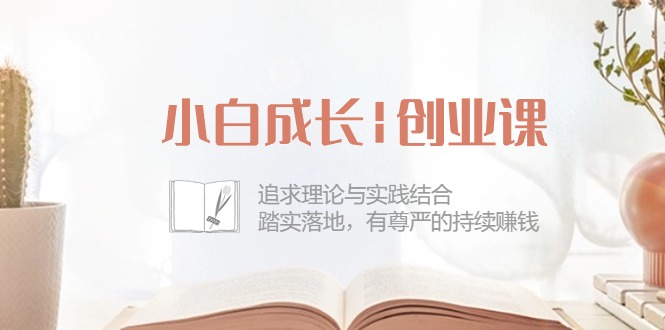 新手发展创业课：追寻理论和实际融合，安稳落地式，有自尊心的不断挣钱（42节）-云网创资源站