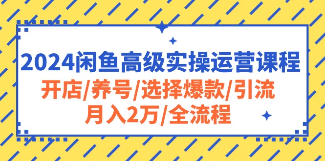 2024闲鱼高级实操运营课程：开店/养号/选择爆款/引流/月入2万/全流程-云网创资源站