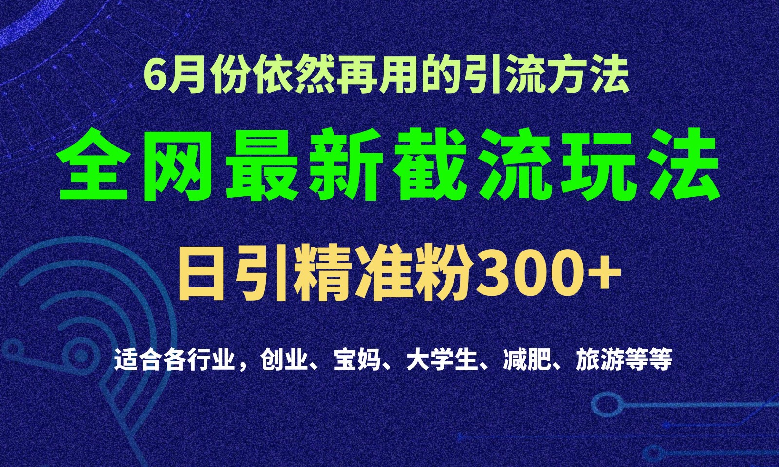 2024全网最新截留玩法，每日引流突破300+-云网创资源站