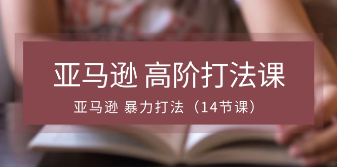 亚马逊平台 高级玩法课，亚马逊平台 暴力行为玩法（14堂课）-云网创资源站