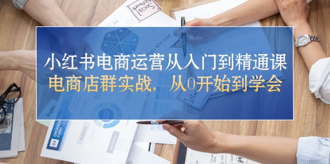 小红书电商运营从入门到精通课，电商店群实战，从0开始到学会-云网创资源站