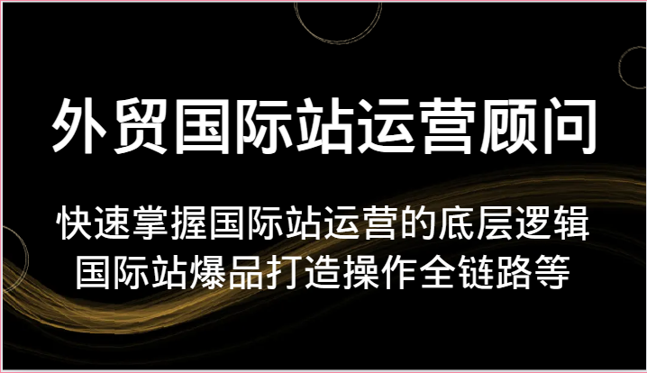 外贸国际站运营顾问-快速掌握国际站运营的底层逻辑，国际站爆品打造操作全链路等-云网创资源站