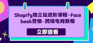 Shopify自建站升阶课程内容-Facebook营销推广-跨境电子商务实例教程-云网创资源站