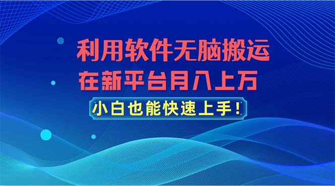 利用软件无脑搬运，在新平台月入上万，小白也能快速上手-云网创资源站