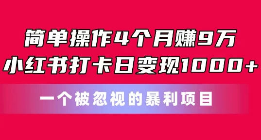 易操作4个月赚9w，小红书的打卡签到日转现1k，一个被忽略的暴力新项目【揭密】-云网创资源站