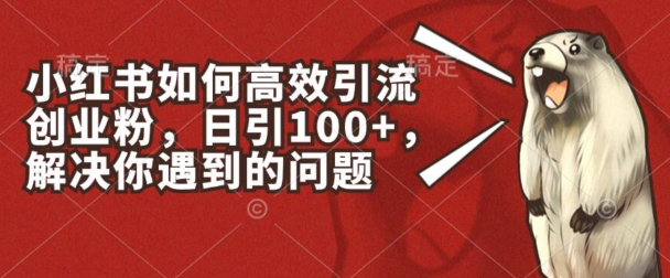 小红书的如何有效引流方法自主创业粉，日引100 ，解决你遇到的困难【揭密】-云网创资源站