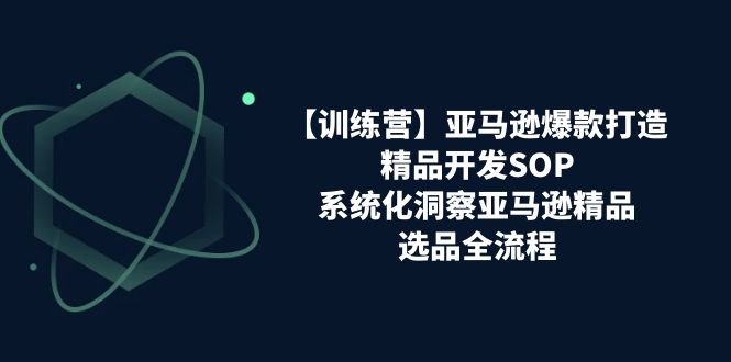 【训练营】亚马逊爆款打造之精品开发SOP，系统化洞察亚马逊精品选品全流程-云网创资源站