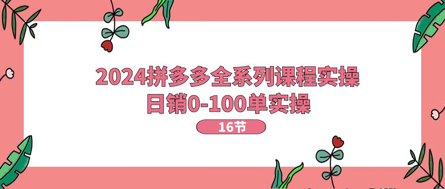 2024拼多多全系列课程实操，日销0-100单实操【16节课】-云网创资源站