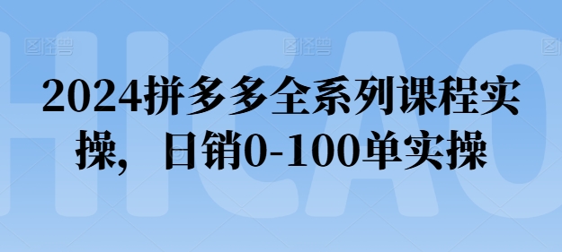 2024拼多多平台全主题课程实际操作，日销0-100单实际操作【必读】-云网创资源站