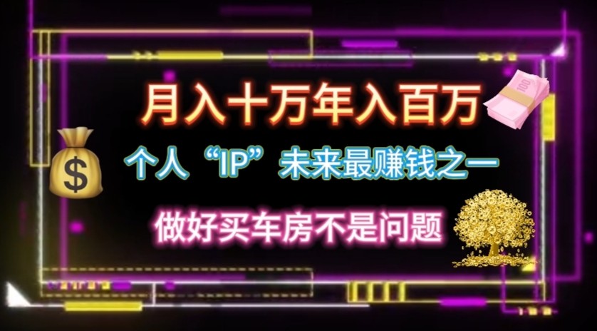 本人“ip”月入10w，年收入100w-云网创资源站