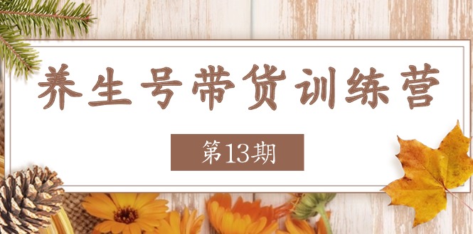 健康养生号卖货夏令营【第13期】盈利更稳定的游戏玩法，使你卖货盈利发生爆炸-云网创资源站