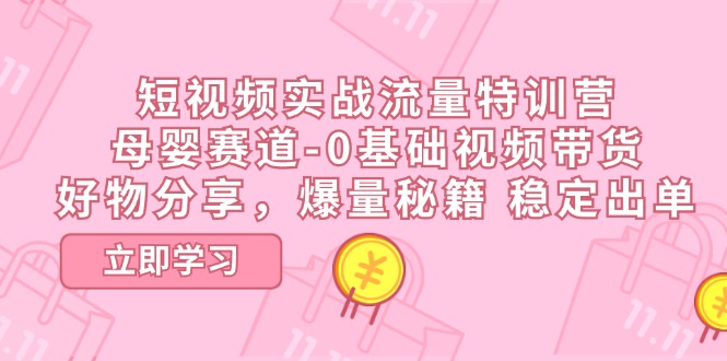 短视频实战流量特训营，母婴赛道-0基础带货，好物分享，爆量秘籍 稳定出单-云网创资源站