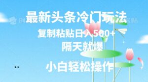 最新头条冷门玩法，隔天就爆，复制粘贴日入500+-云网创资源站