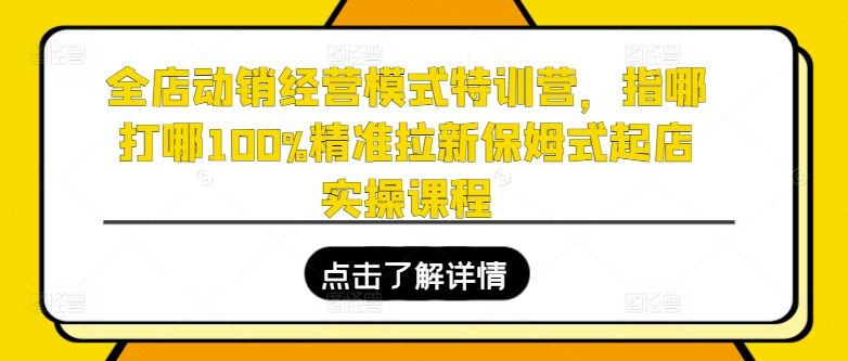 全店动销运营模式夏令营，指哪打哪100%精确引流跟踪服务出单实操课程-云网创资源站