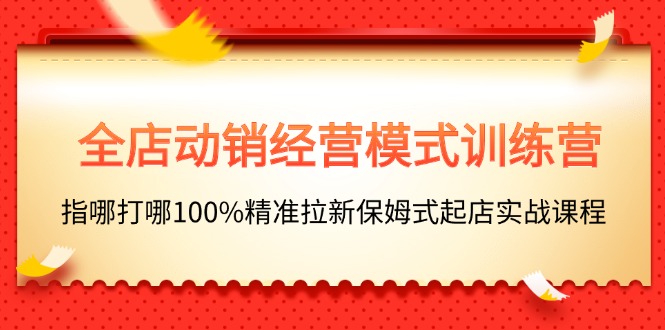 全店动销-经营模式训练营，指哪打哪100%精准拉新保姆式起店实战课程-云网创资源站